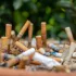 Náhled pro Cigaretový odpad jako skrytá hrozba pro zdraví a životní prostředí