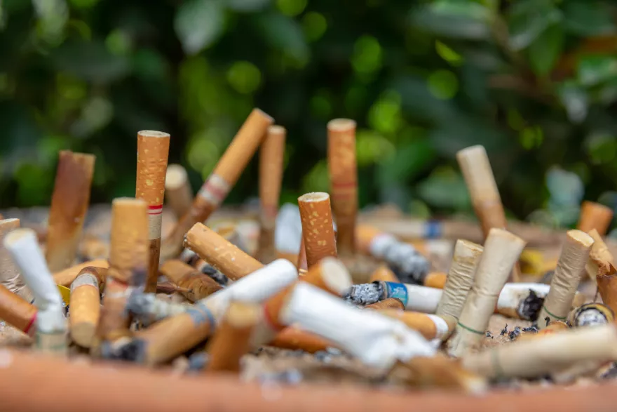 Náhled pro Cigaretový odpad jako skrytá hrozba pro zdraví a životní prostředí